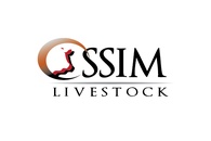 OSSIM LIVESTOCK